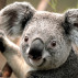 Test Post